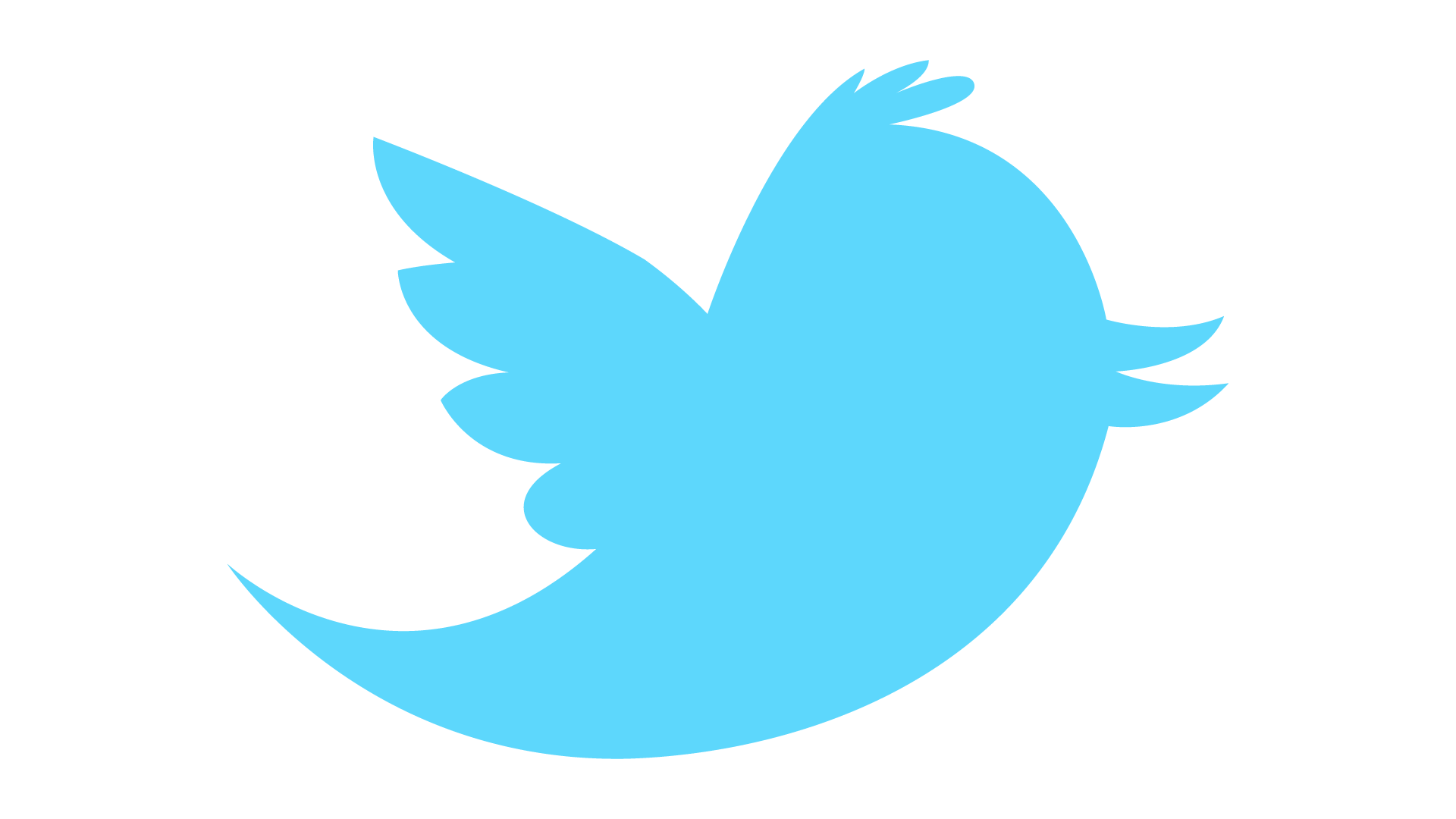 new_twitter_bird_vector_by_eagl0r-d2yth6g